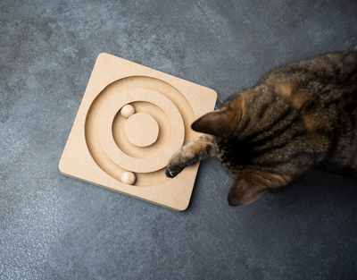 The Top 5 Interactive Toys For Cats: How To Кeep Your Feline Entertained