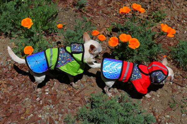 TBA Raptor Away Safety Jackets - FurryPawsome