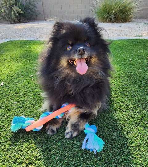 Rubber Bone Dog Chew Toy with Tug Rope - FurryPawsome