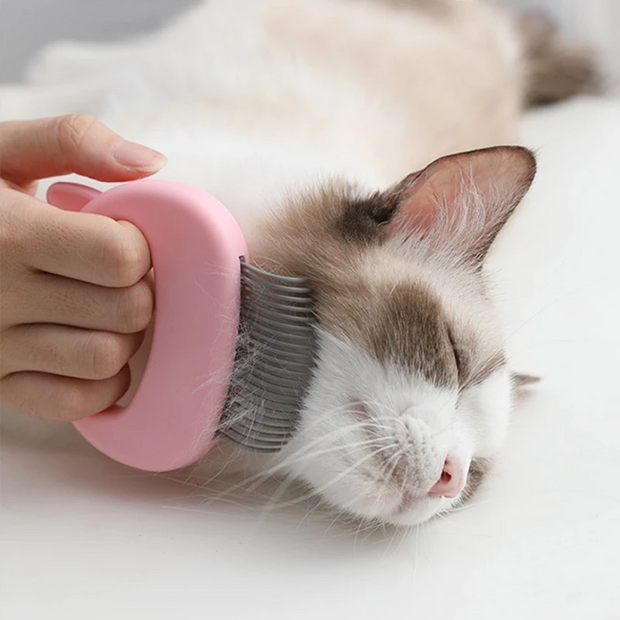 Pet Massage Brush Pet Grooming Massage Tool To Remove Loose Hairs - FurryPawsome