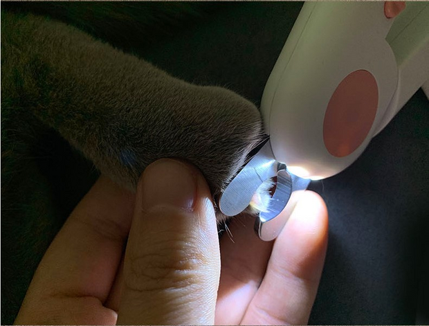 Pet Nail Scissors LED Cat Nail Clipper Trimmer - FurryPawsome