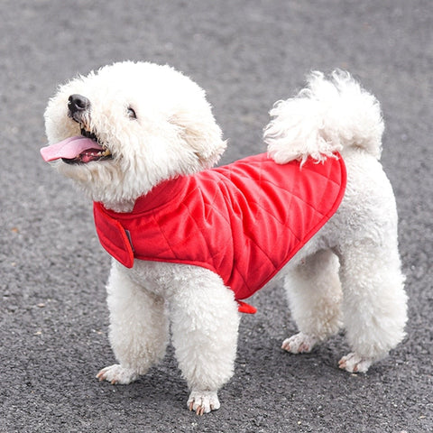 Dogs Winter Warm Vest - FurryPawsome