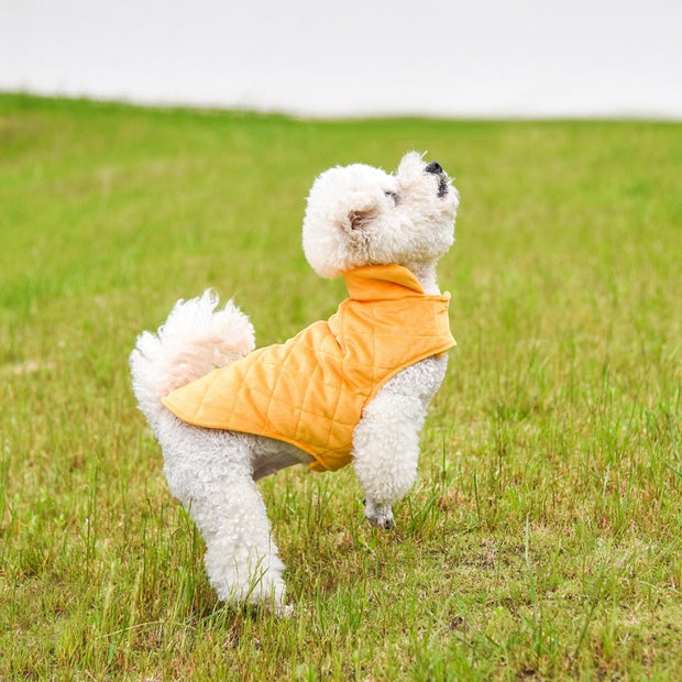 Dogs Winter Warm Vest - FurryPawsome