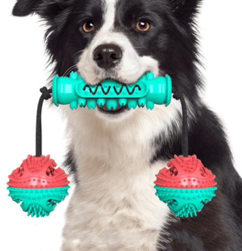 Dog Rubber Chew Toy - FurryPawsome