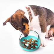 Dog Food Capsule Bowl Toy - FurryPawsome