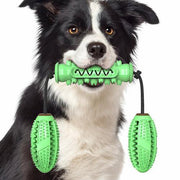 Dog Rubber Chew Toy - FurryPawsome