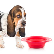 Folding Dog Bowl Heart - FurryPawsome