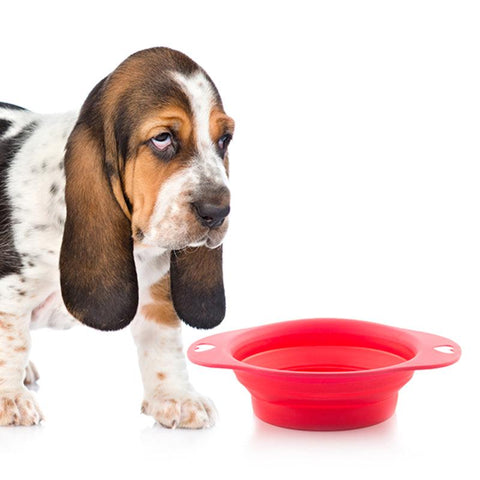 Folding Dog Bowl Heart - FurryPawsome