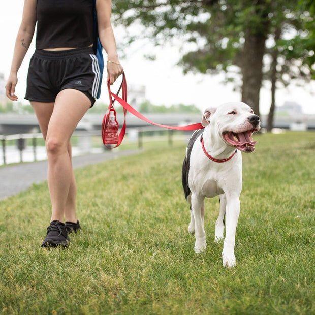 Red Reflective Dog Leash - FurryPawsome