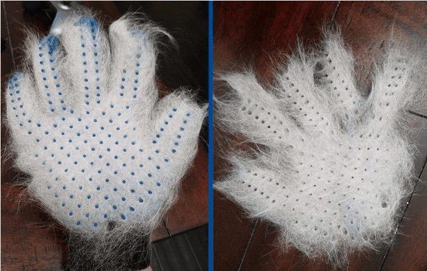 Pet Grooming Gloves - FurryPawsome