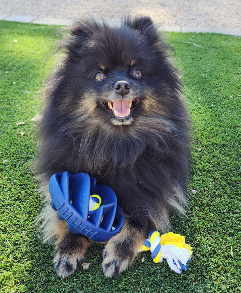 Rubber Football Dog Chew Toy - FurryPawsome