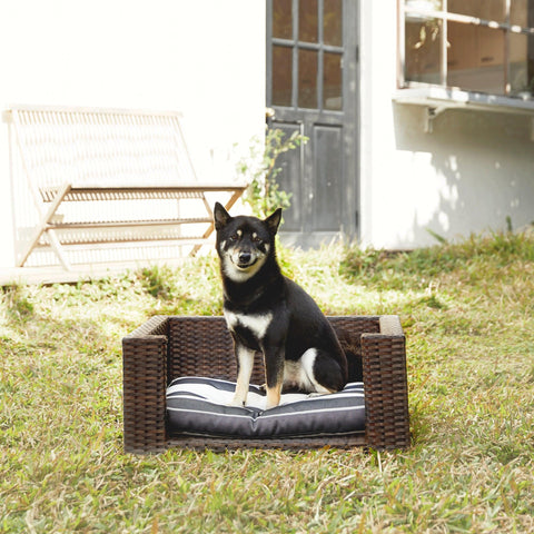 Soft Pets Rattan Bed - FurryPawsome